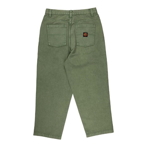 Big pants iguana