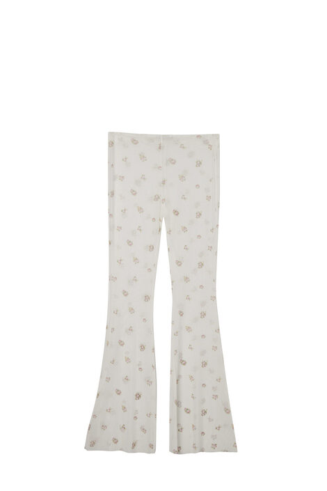Mesh pants 